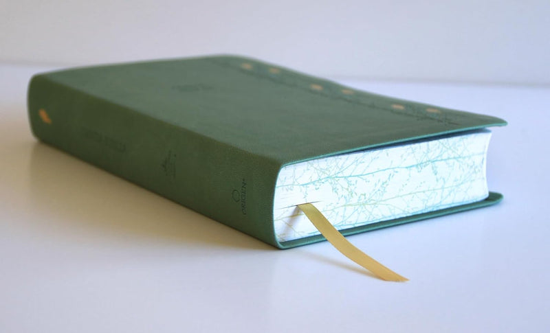 Cargue la imagen en el visor de la galería, Biblia RVR 1960, Tamaño Manual, Letra Gigante, símil piel verde pájaros
