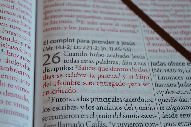 Cargue la imagen en el visor de la galería, Biblia ultrafina RVR 1960, Letra Súper Gigante, símil piel café
