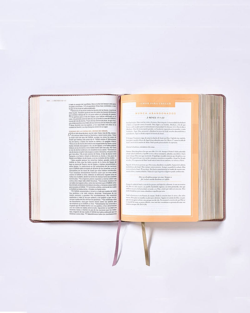 Cargue la imagen en el visor de la galería, Santa Biblia NBLA, Ama a Dios Grandemente, Interior a cuatro colores, imitación piel oro rosa
