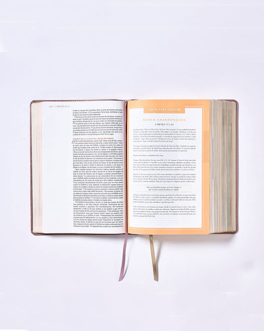 Santa Biblia NBLA, Ama a Dios Grandemente, Interior a cuatro colores, imitación piel oro rosa