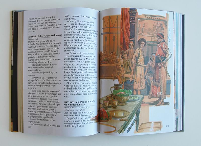 Cargue la imagen en el visor de la galería, La Biblia Ilustrada
