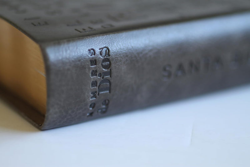 Cargue la imagen en el visor de la galería, Biblia RVR 1960, Letra Grande, Tamaño Manual, simil piel café con nombres de Dios
