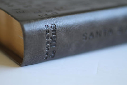 Biblia RVR 1960, Letra Grande, Tamaño Manual, simil piel café con nombres de Dios