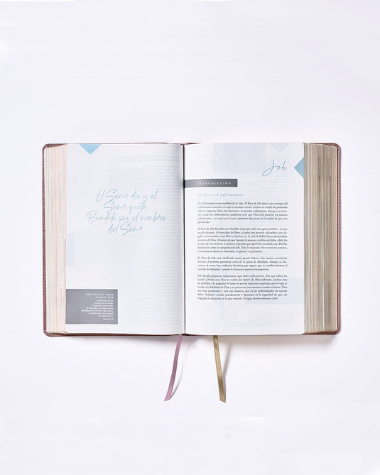 Santa Biblia NBLA, Ama a Dios Grandemente, Interior a cuatro colores, imitación piel oro rosa