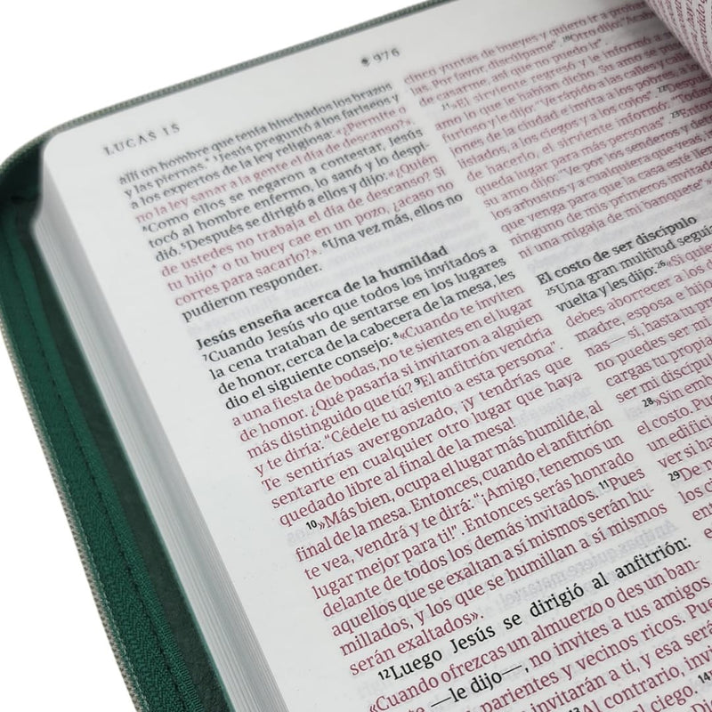 Cargue la imagen en el visor de la galería, Biblia ultrafina NTV, con Filament, Cierre zíper, imitación piel verde esmeralda
