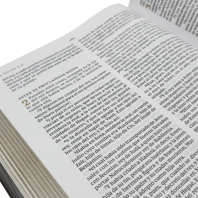 Cargue la imagen en el visor de la galería, Biblia Reflexiones de C. S. Lewis RVR,  Comfort Print, Tapa Dura
