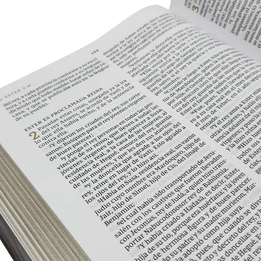 Biblia Reflexiones de C. S. Lewis RVR,  Comfort Print, Tapa Dura