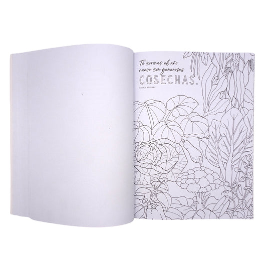 Los Salmos más queridos: Libro para colorear