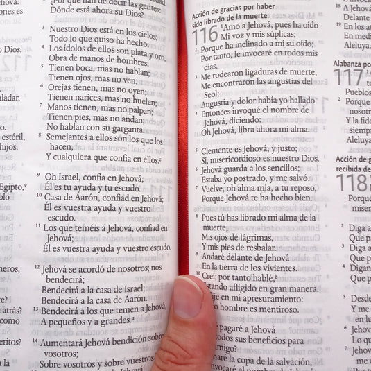 Biblia RVR 1960, Letra Grande, Tamaño Manual, Tapa dura/ tela rosada con flores