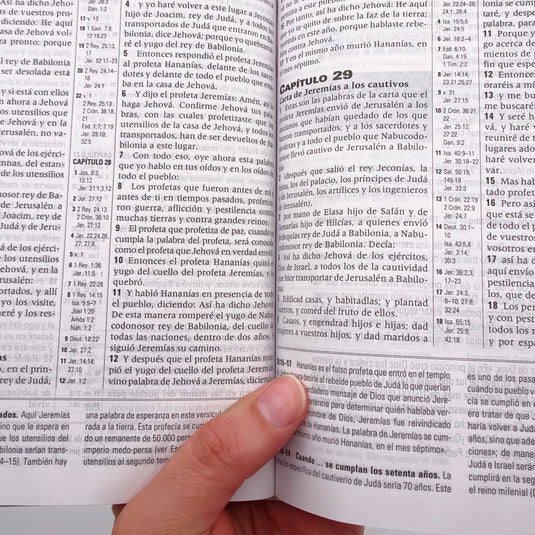 Biblia de Estudio de la Profecía RVR 1960, Tapa dura