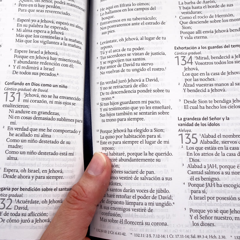 Cargue la imagen en el visor de la galería, Biblia León de Judá RVR 1960, Letra Grande, Tamaño Manual, tapa dura arcoíris
