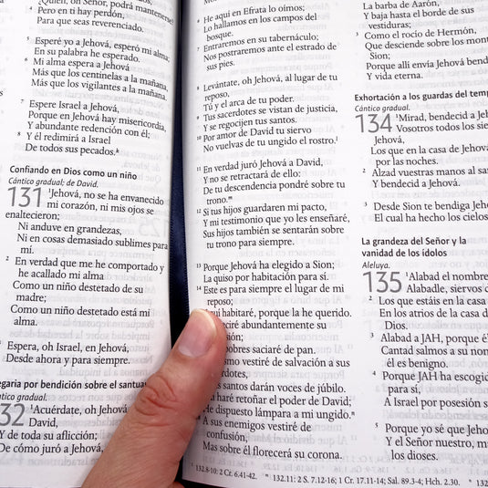 Biblia León de Judá RVR 1960, Letra Grande, Tamaño Manual, tapa dura arcoíris