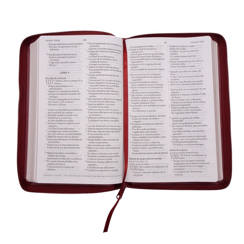 Cargue la imagen en el visor de la galería, Biblia ultrafina RVR 1960, Tamaño Manual, Cierre zíper, Letra Grande, símil piel café
