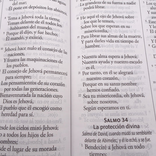 Biblia ultrafina RVR 1960, Letra Súper Gigante, símil piel negra