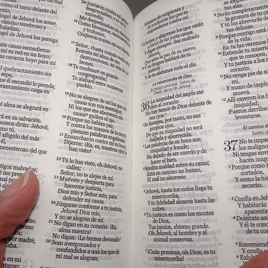 Biblia de Bolsillo RVR 1960, imitación piel celeste flores y pájaros