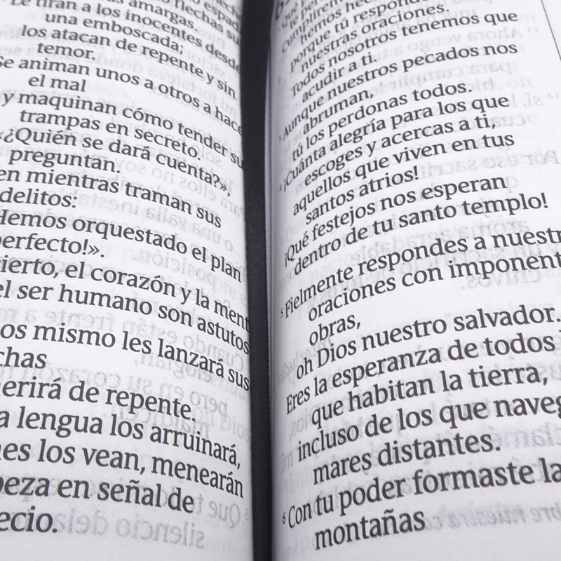 Cargue la imagen en el visor de la galería, Biblia compacta NTV, con Filament, Letra Gigante, SentiPiel gris

