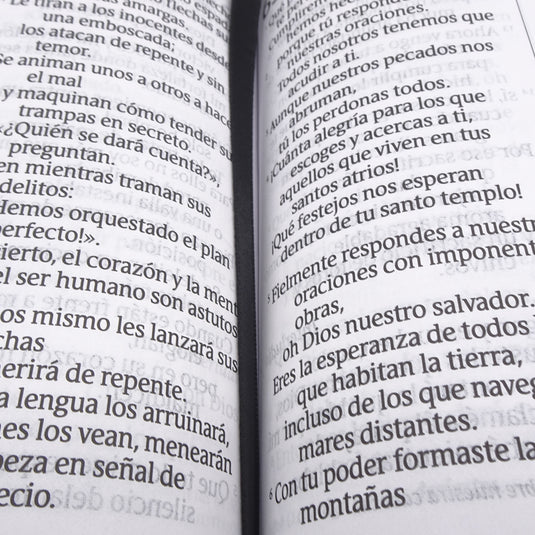 Biblia compacta NTV, con Filament, Letra Gigante, SentiPiel gris