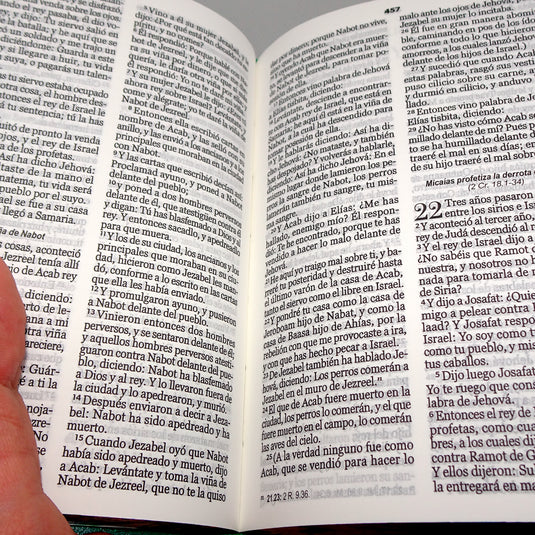 Biblia de Bolsillo RVR 1960, imitación piel verde flores y mariposas