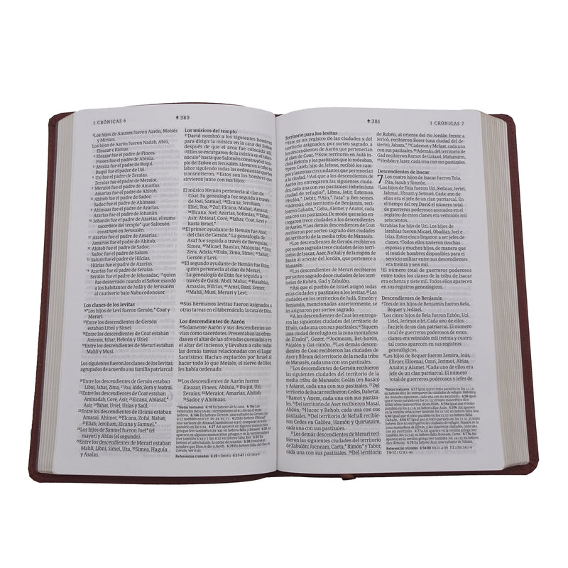 Cargue la imagen en el visor de la galería, Biblia ultrafina NTV, con Filament, imitación piel café
