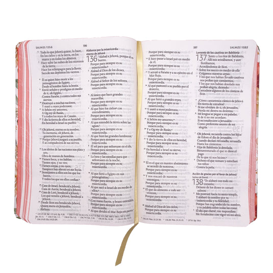 Biblia RVR 1960, Letra Grande, Tamaño Manual, tapa dura terracota flores