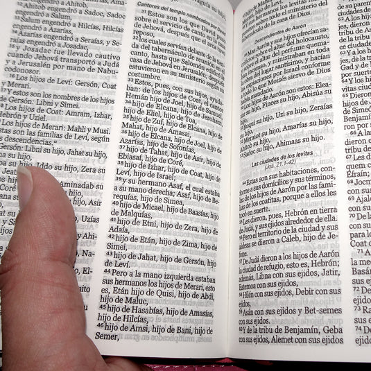 Biblia de Bolsillo RVR 1960, imitación piel fucsia flores y mariposas