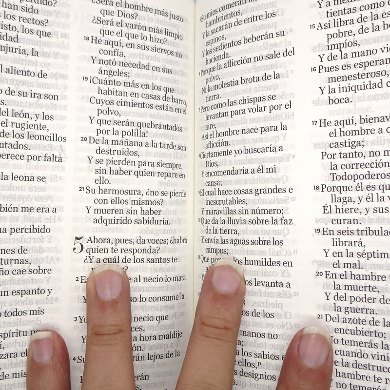 Cargue la imagen en el visor de la galería, Biblia RVR 1960, Tamaño portátil, Letra Grande, imitación piel turquesa primaveral
