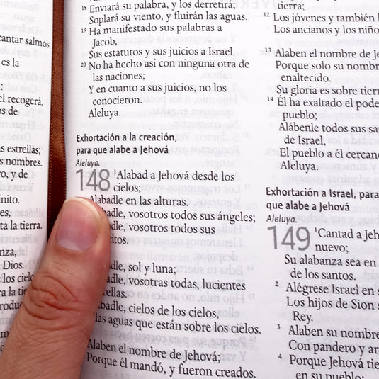 Biblia León de Judá RVR 1960, Letra Grande, Tamaño Manual, Tapa dura marrón