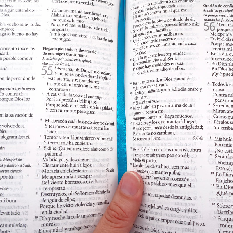 Cargue la imagen en el visor de la galería, Biblia RVR 1960, Letra Grande, Tamaño Manual, símil piel azul
