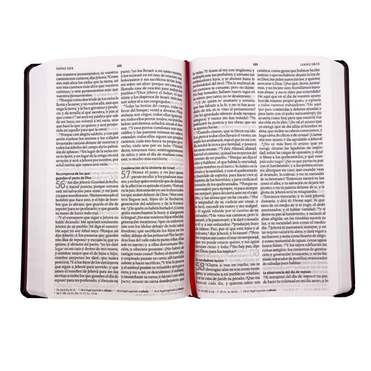 Biblia RVR 1960, Letra Grande, Tamaño Manual, tapa dura corazón marrón