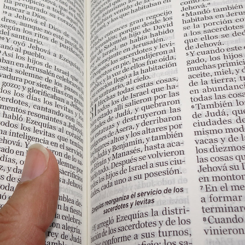 Cargue la imagen en el visor de la galería, Biblia RVR 1960, Tamaño portátil, Letra Grande, imitación piel naranja primaveral
