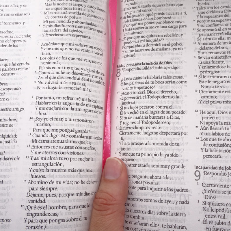 Cargue la imagen en el visor de la galería, Biblia León de Judá RVR 1960, Letra Grande, Tamaño Manual, Tapa dura fucsia
