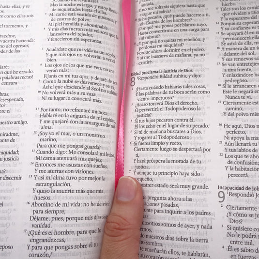 Biblia León de Judá RVR 1960, Letra Grande, Tamaño Manual, Tapa dura fucsia