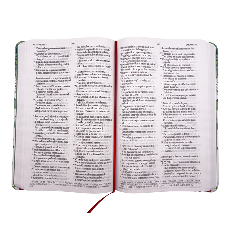 Cargue la imagen en el visor de la galería, Biblia RVR 1960, Letra Grande, Tamaño Manual, Tapa dura/ tela verde con flores
