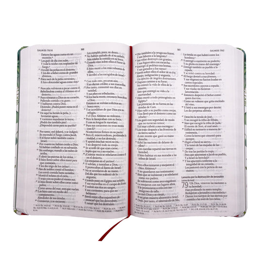 Biblia RVR 1960, Letra Grande, Tamaño Manual, Tapa dura/ tela verde con flores