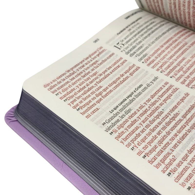 Cargue la imagen en el visor de la galería, Biblia RVR 1960, Tamaño manual, Letra Grande, imitación piel lila
