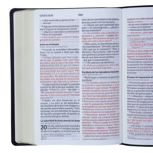 Cargue la imagen en el visor de la galería, Biblia NVI, Letra Gigante, imitación piel negro
