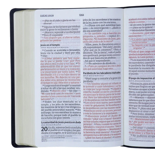 Biblia NVI, Letra Gigante, imitación piel negro