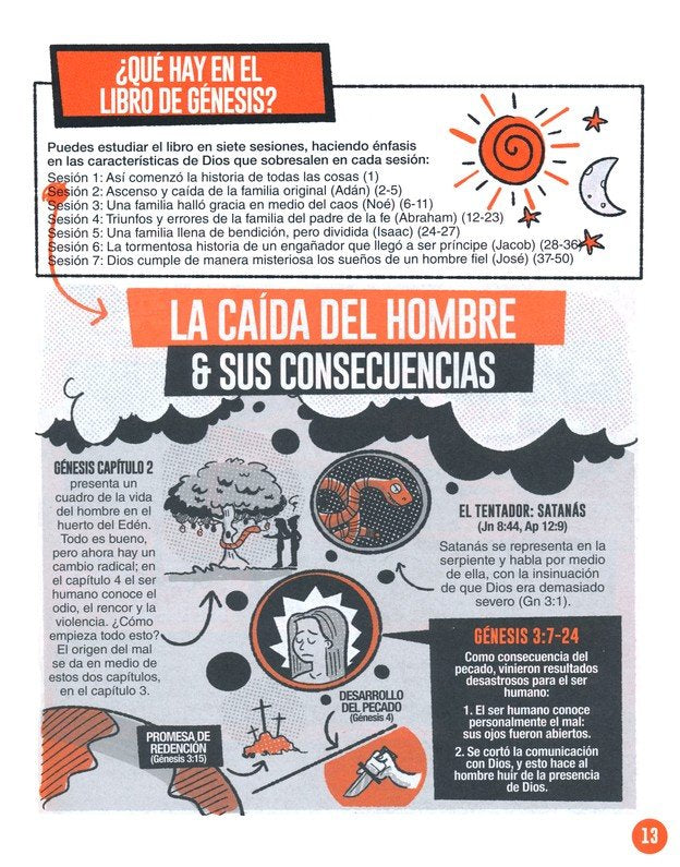 Cargue la imagen en el visor de la galería, Los libros de la Biblia explicados en gráficos - AT
