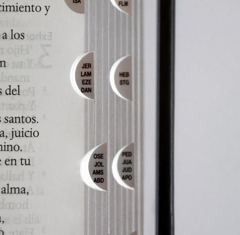 Cargue la imagen en el visor de la galería, Biblia RVR 1960 León de Judá, Letra Grande, con índice, edición especial plata

