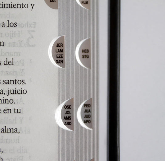 Biblia RVR 1960 León de Judá, Letra Grande, con índice, edición especial plata