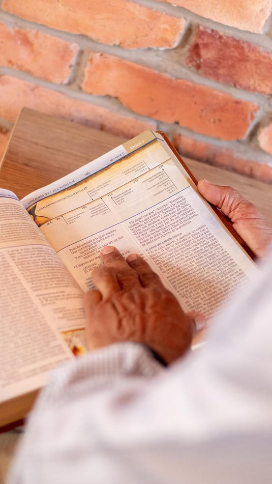 Biblia Cronológica de Estudio NBLA, imitación piel tonos café