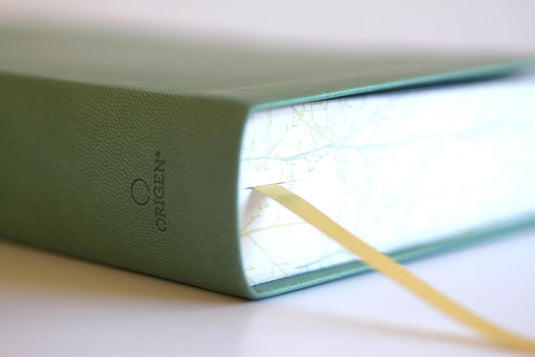 Biblia RVR 1960, Tamaño Manual, Letra Gigante, símil piel verde pájaros