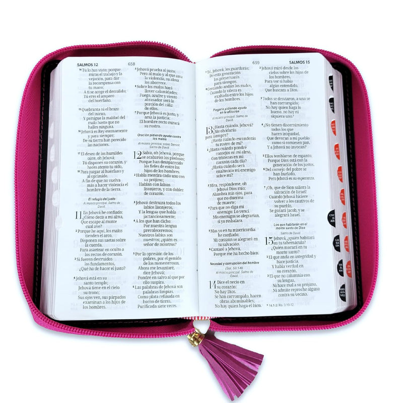 Cargue la imagen en el visor de la galería, Biblia RVR 1960, Cierre zíper, con índice, símil piel fucsia con beige- Tipo chequera
