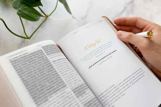 Biblia de Promesas RVR 1960, Jesús para todos, Tamaño Manual, Letra Grande, piel especial café