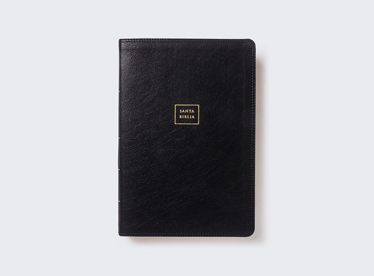 Biblia del Ministro RVR60, Letra Gigante, imitación piel negro