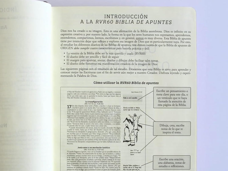 Cargue la imagen en el visor de la galería, Biblia de Apuntes RVR 1960, Tapa dura vino
