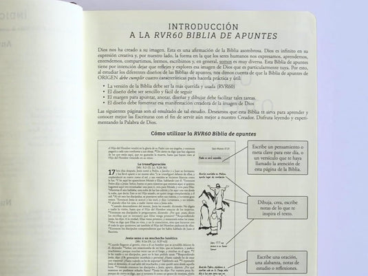 Biblia de Apuntes RVR 1960, Tapa dura vino