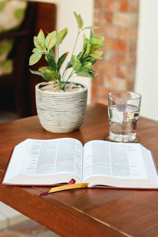Biblia de Referencia Thompson RVR, Tapa dura