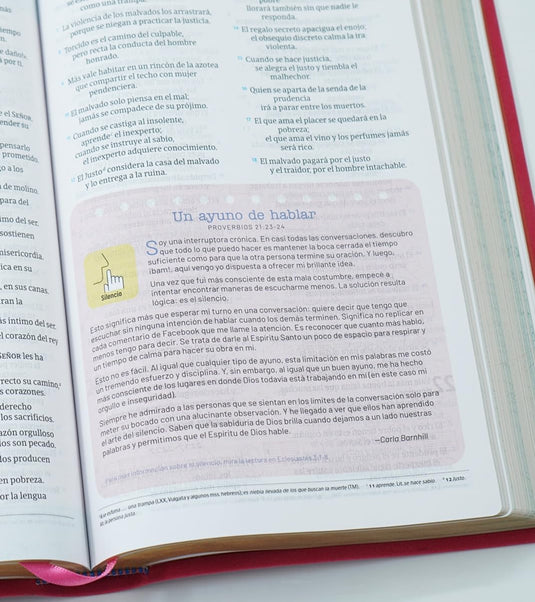 Biblia temas cotidianos para mujeres NVI, imitación piel rosada