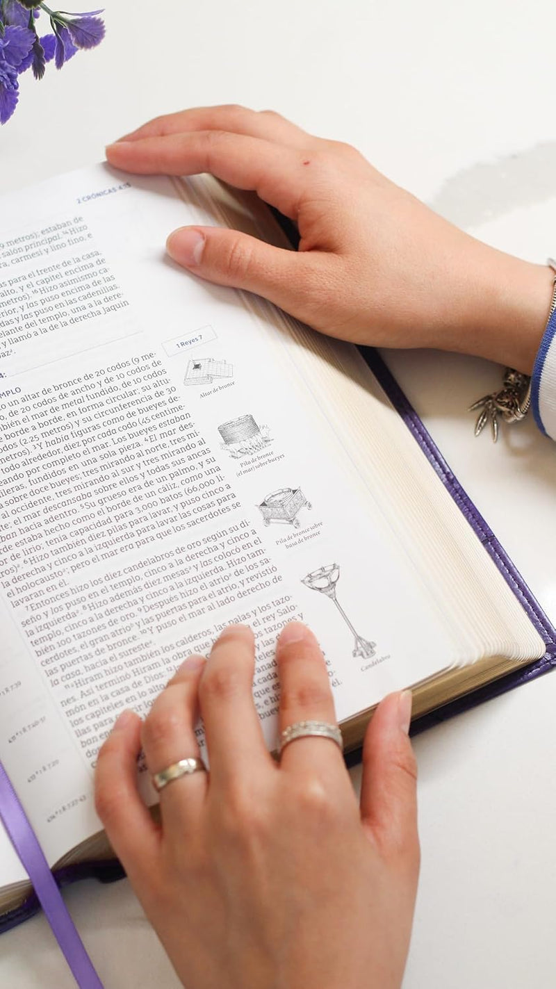 Cargue la imagen en el visor de la galería, Biblia para el estudio inductivo NBLA, Interior a dos colores, imitación piel morado
